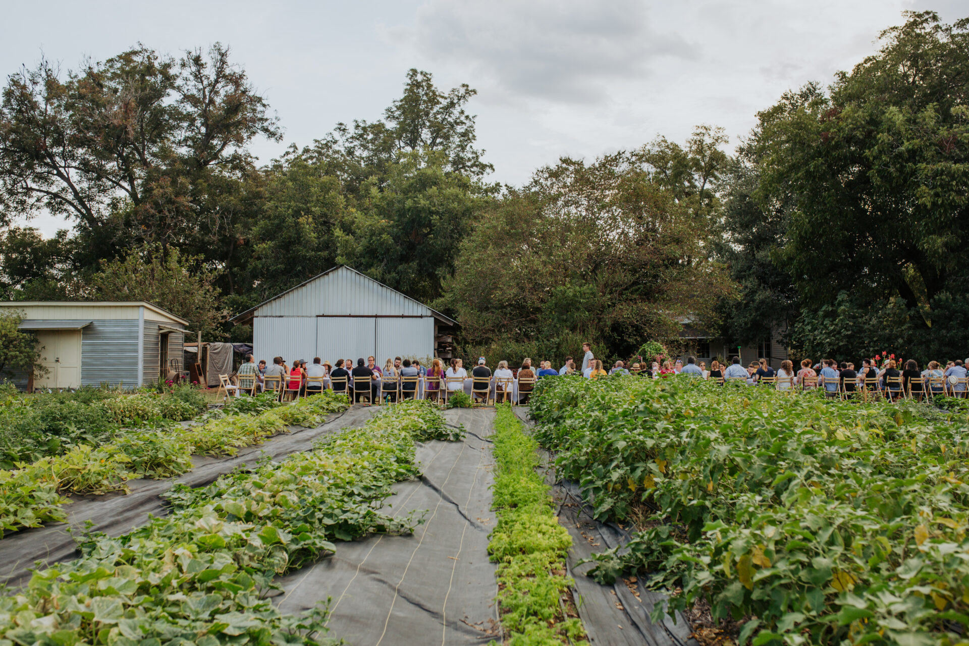 Boggy Creek Farm