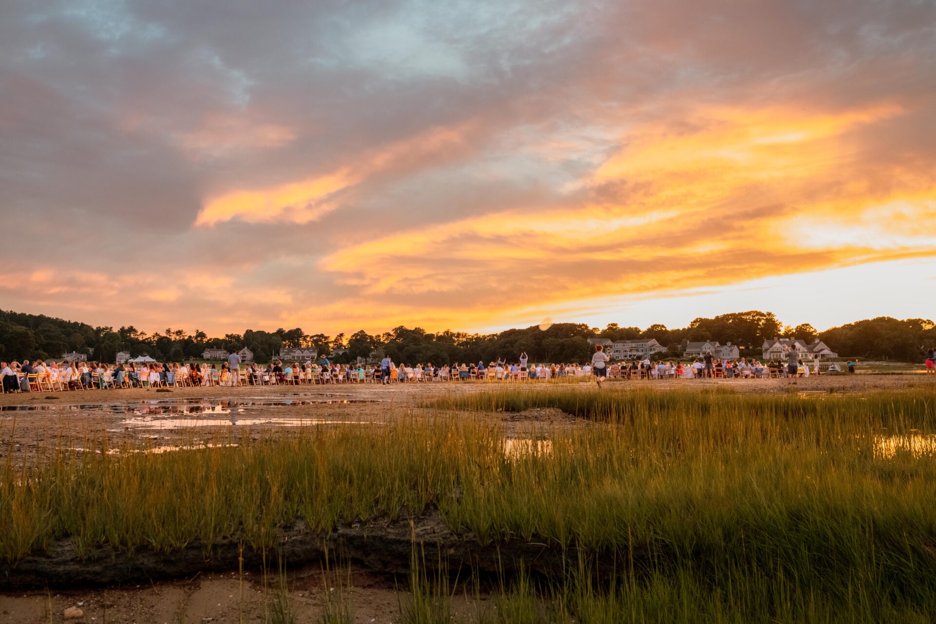 Barrier Island Oyster Co.