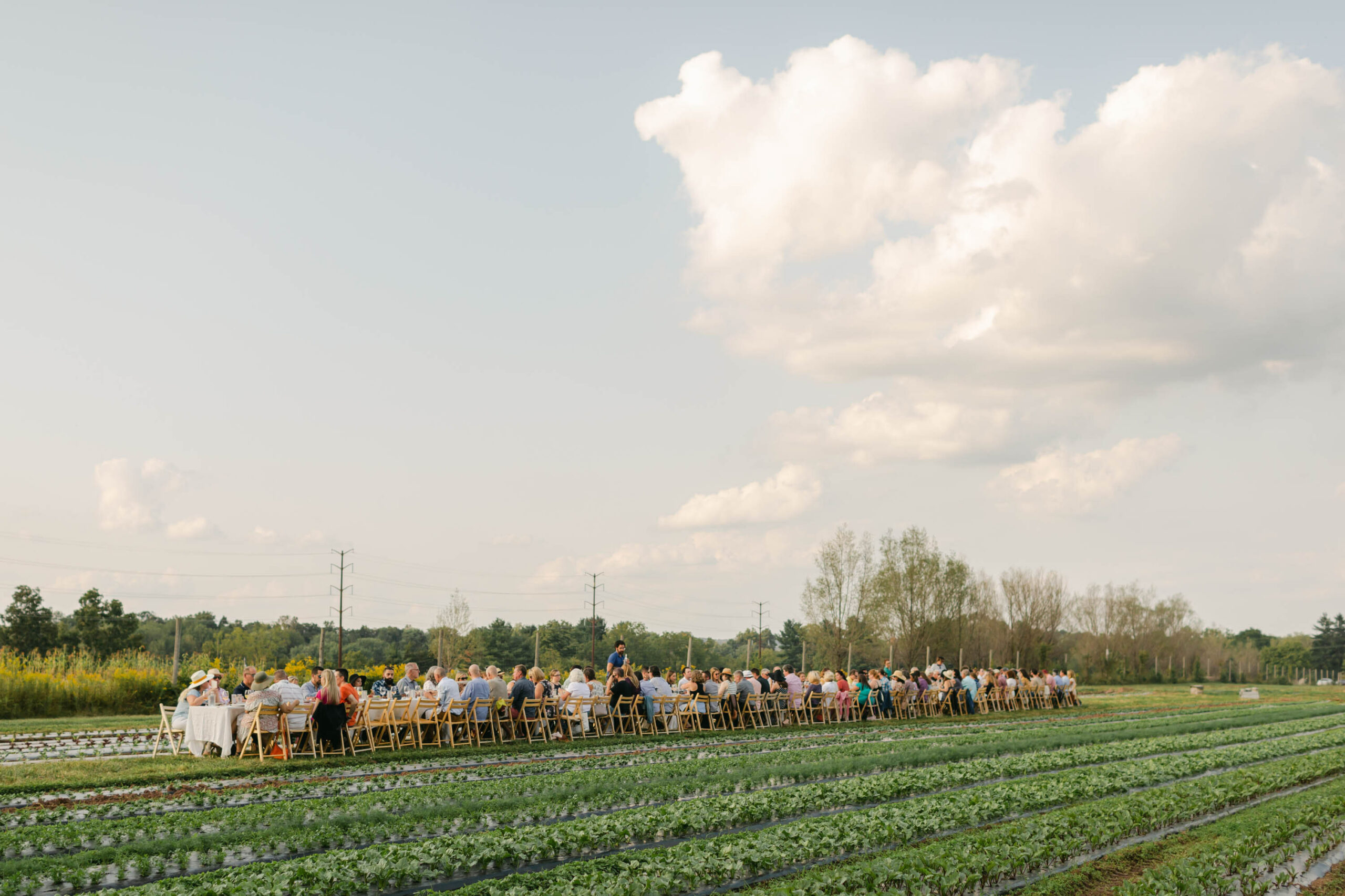 Blooming Glen Farm